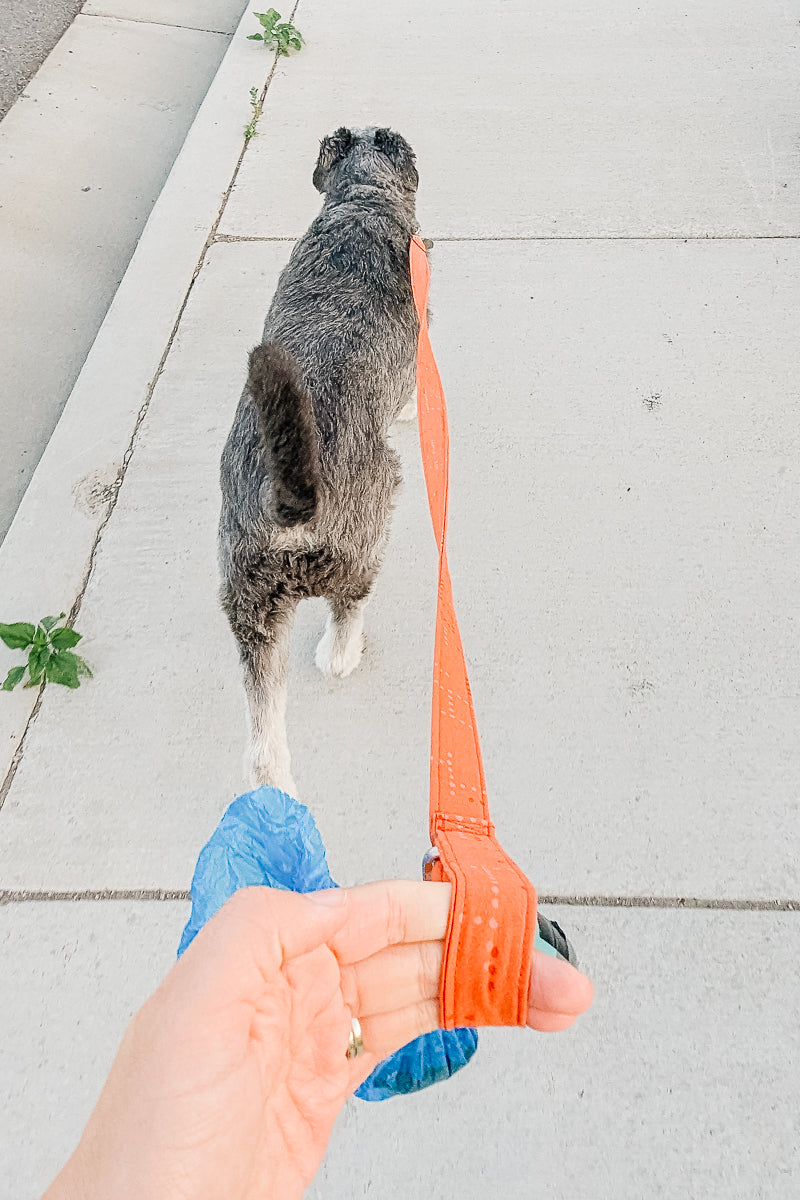 Dog Leash Sewing Pattern and Tutorial