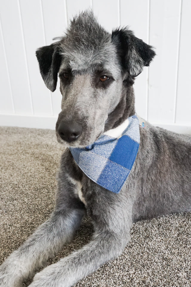 Dog Bandana Sewing Pattern and Tutorial