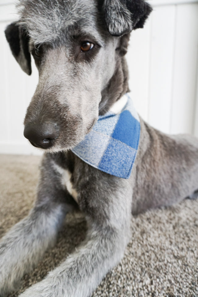 Dog Bandana Sewing Pattern and Tutorial