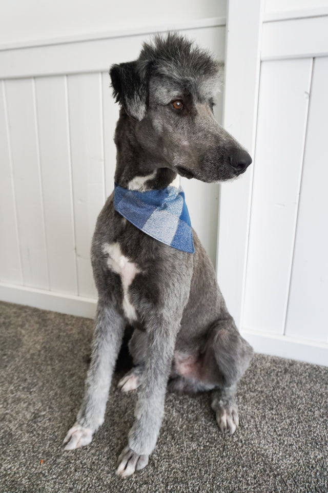 Dog Bandana Sewing Pattern and Tutorial